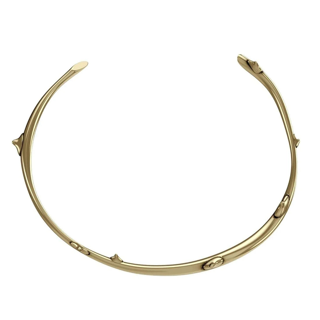 Collana Unisex John Richmond Girocollo Spine Bronzo Dorato JRTN01BY