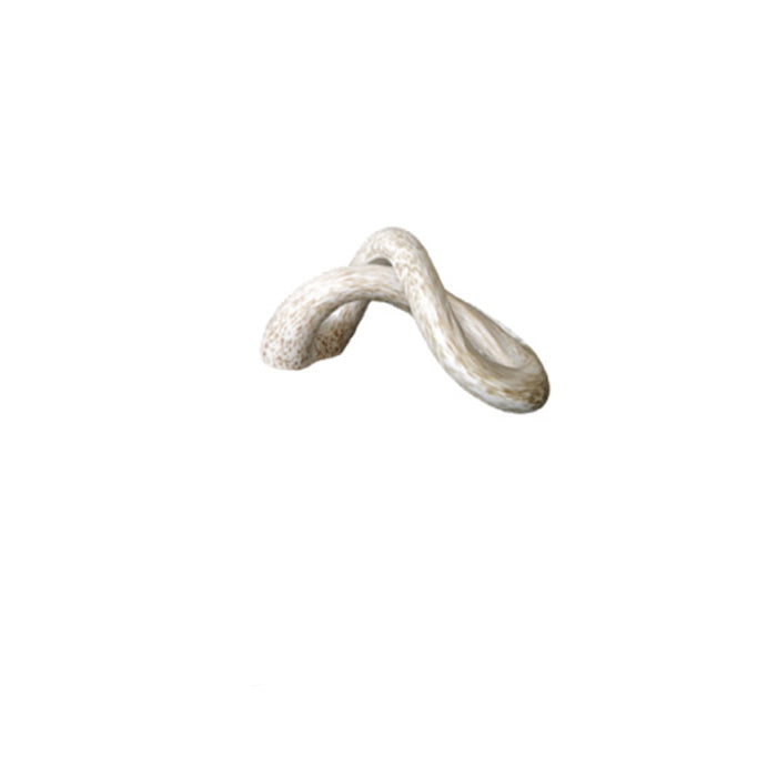 Scultura Cristallo Onlylux Sogninfiniti 21,5 cm Oro Bianco OL03488