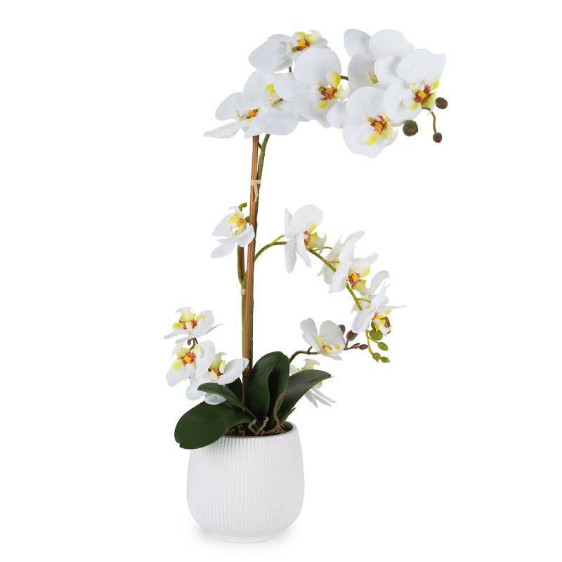 Pianta Henriette Orchidea 2 Rami Vaso Real Touch Bianco 15x55 cm D18975