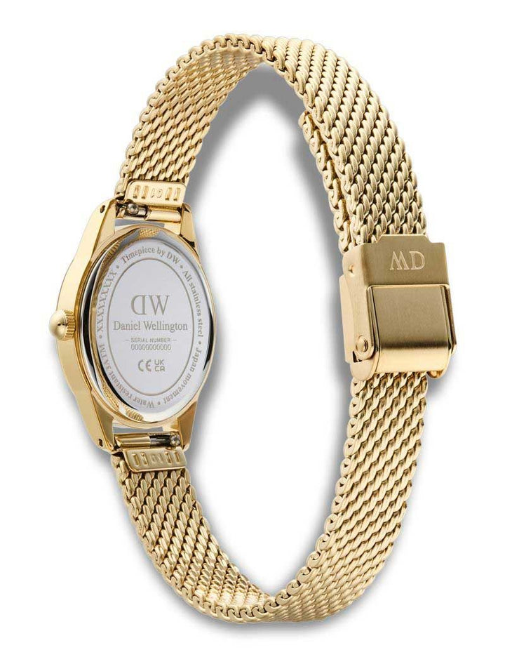 Orologio Donna Daniel Wellington Acciaio Ophelia Mini DW00100939