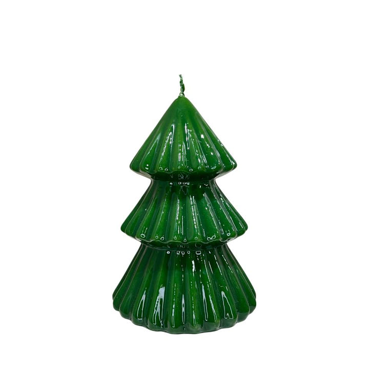 Candela Graziani Albero Tokyo Collection Verde 17 cm CLAT17BG