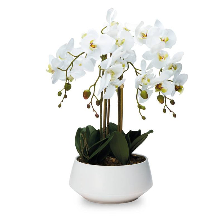 Pianta Henriette Orchidea 4 Rami Vaso Real Touch Bianco 20x55 cm D18693