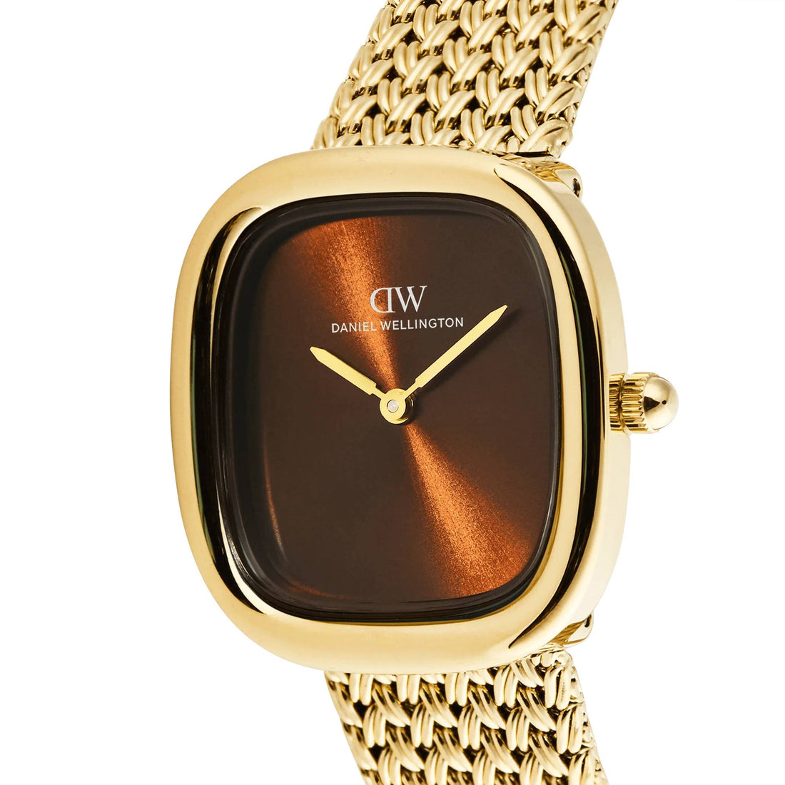 Orologio Donna Daniel Wellington Acciaio Dorato Marrone Margot Braided DW00100968