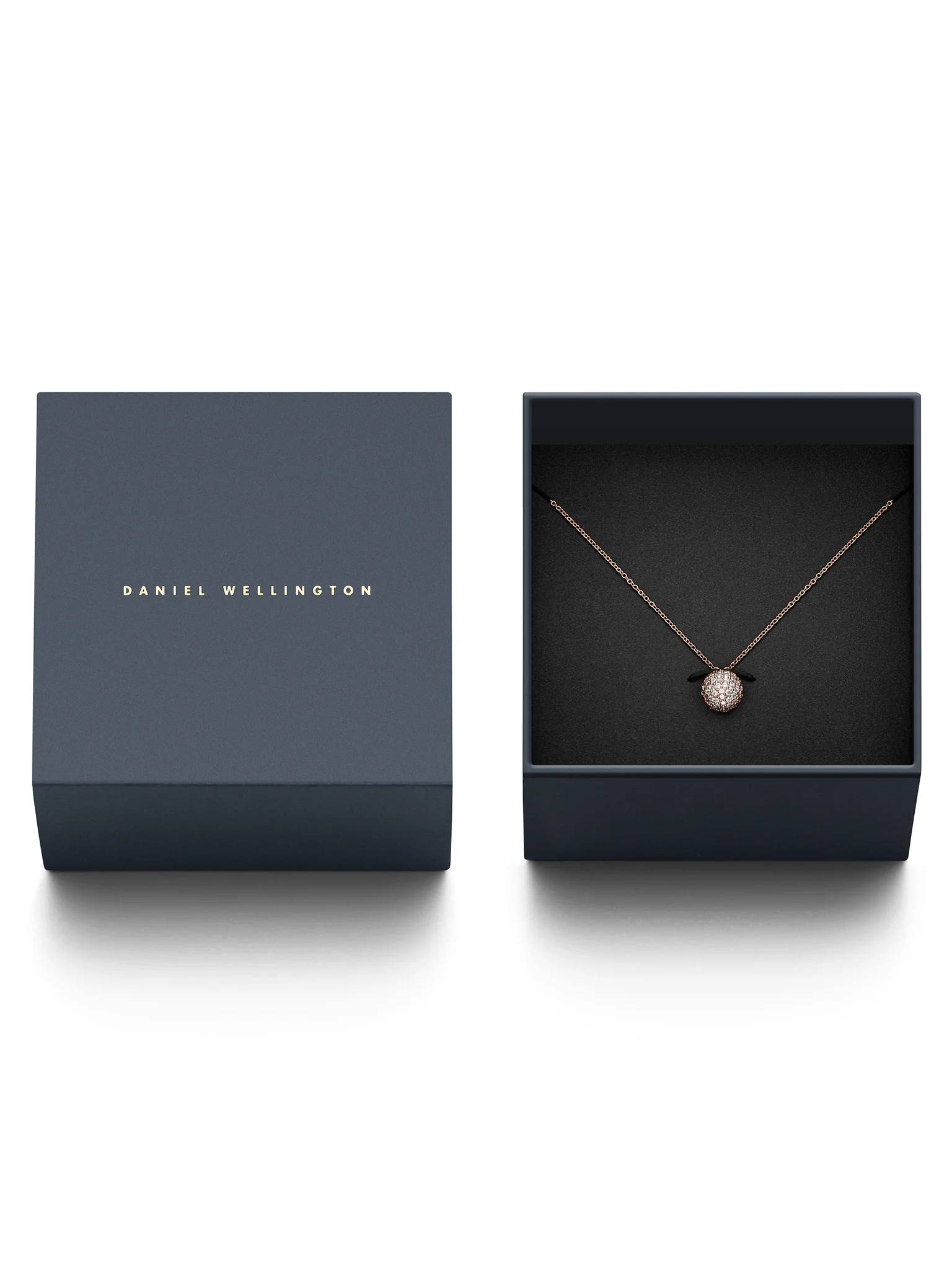 Collana Donna Daniel Wellington Acciaio Color Rosè DW00400625