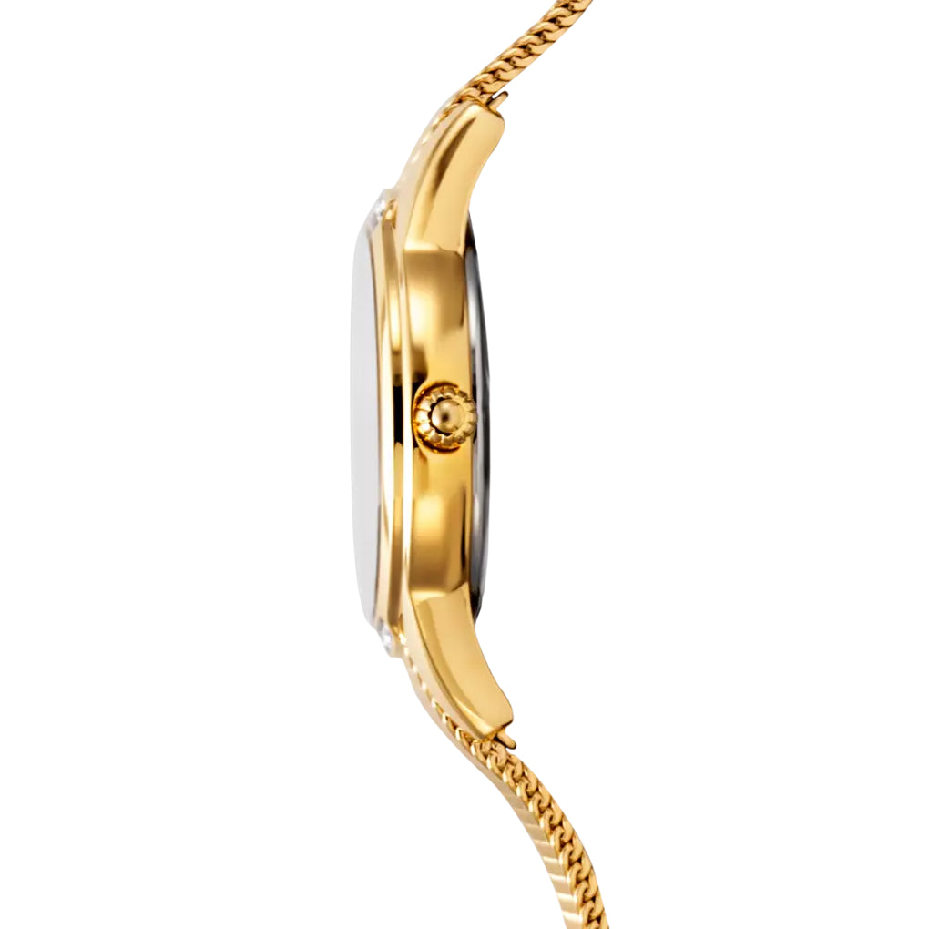 Orologio Donna Festina Dorato Argentè Zirconi Bianchi F20495/1