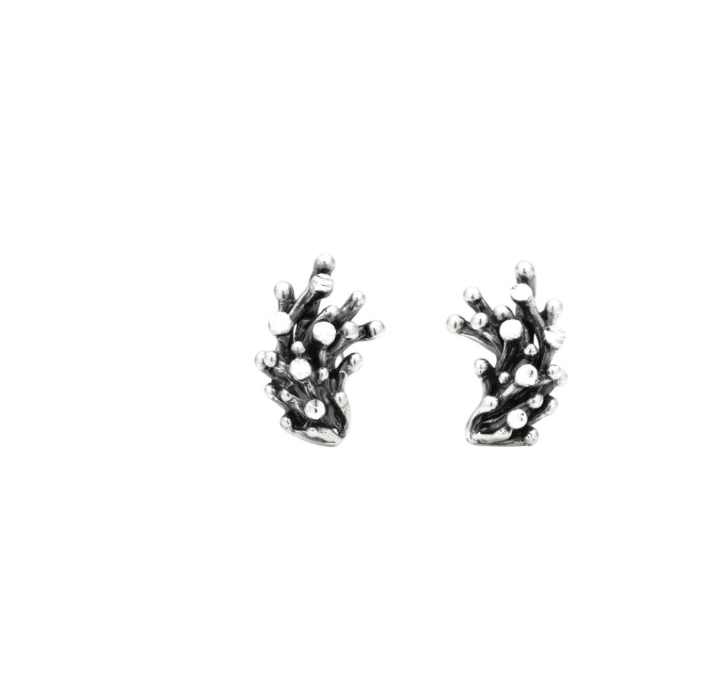 Orecchini Donna Giovanni Raspini Argento 925 Selene A Lobo 12316