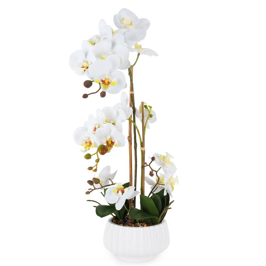 Pianta Henriette Orchidea 2 Rami Vaso Real Touch 17,5x58 cm D18973