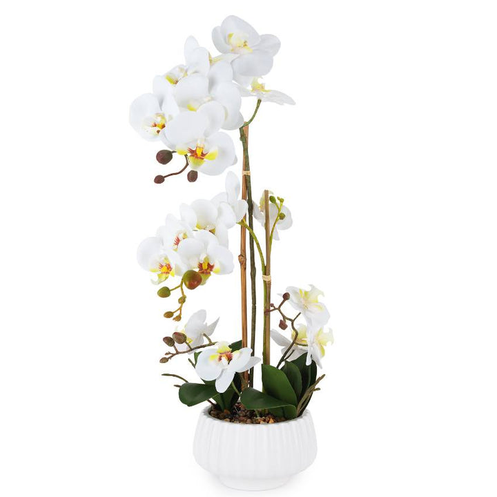 Pianta Henriette Orchidea 2 Rami Vaso Real Touch 17,5x58 cm D18973