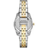 Orologio Donna Fossil solo tempo con ghiera ziglinata