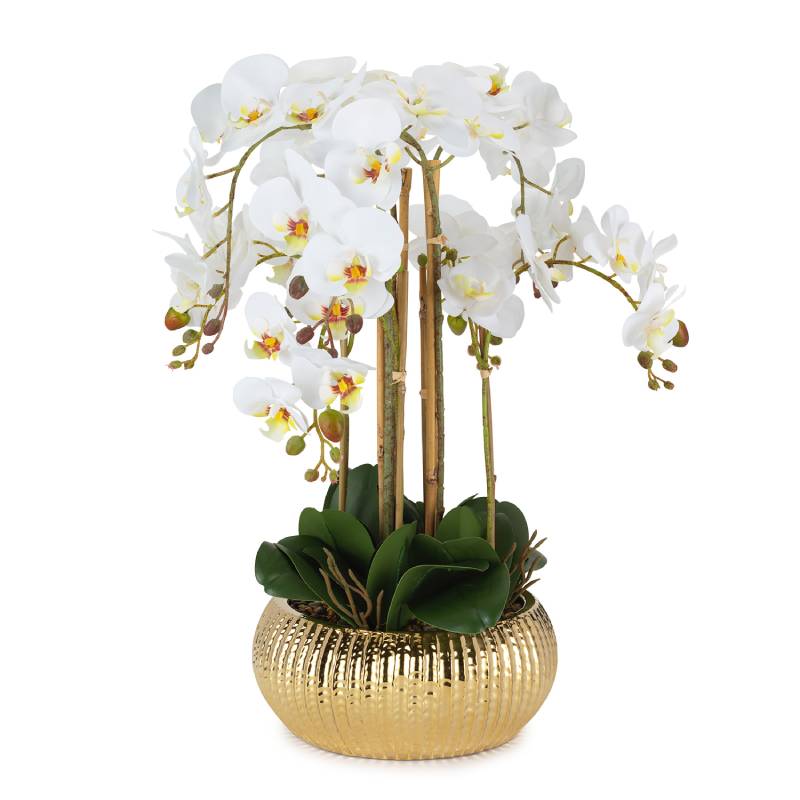Pianta Henriette Orchidea 8 Rami Vaso Real Touch Oro 28x60 cm D18972