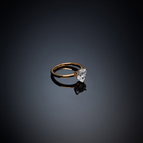 Anello Donna Chiara Ferragni Acciaio Zircone J19AVI38014