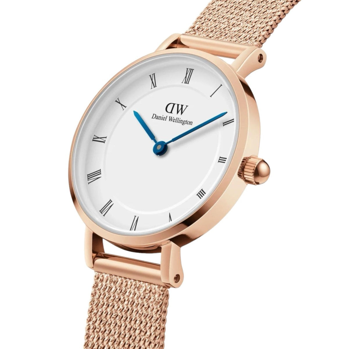 Orologio Donna Daniel Wellington Acciaio Petite Cassa 28 mm