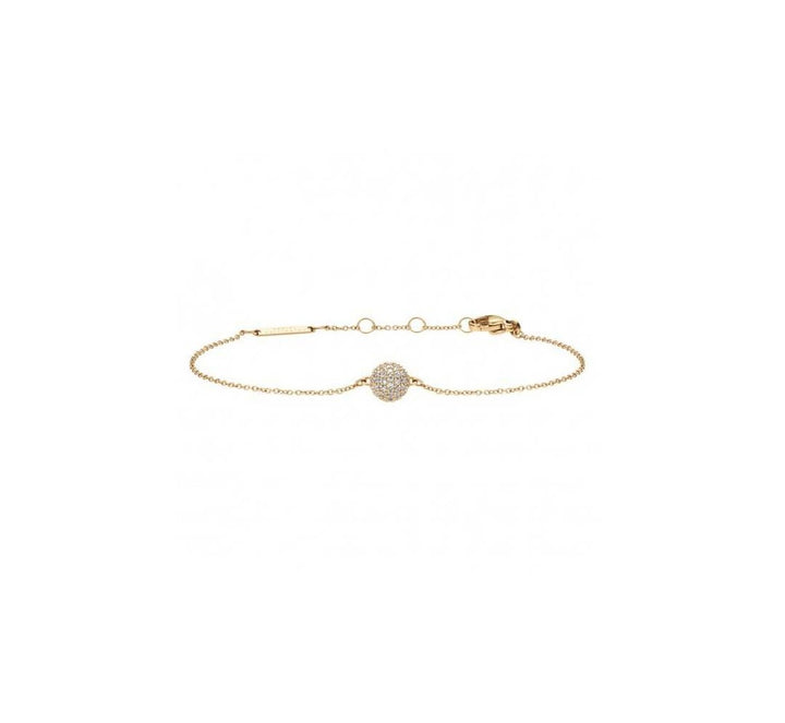 Bracciale Donna Daniel Wellington Acciaio dorato  DW00400641