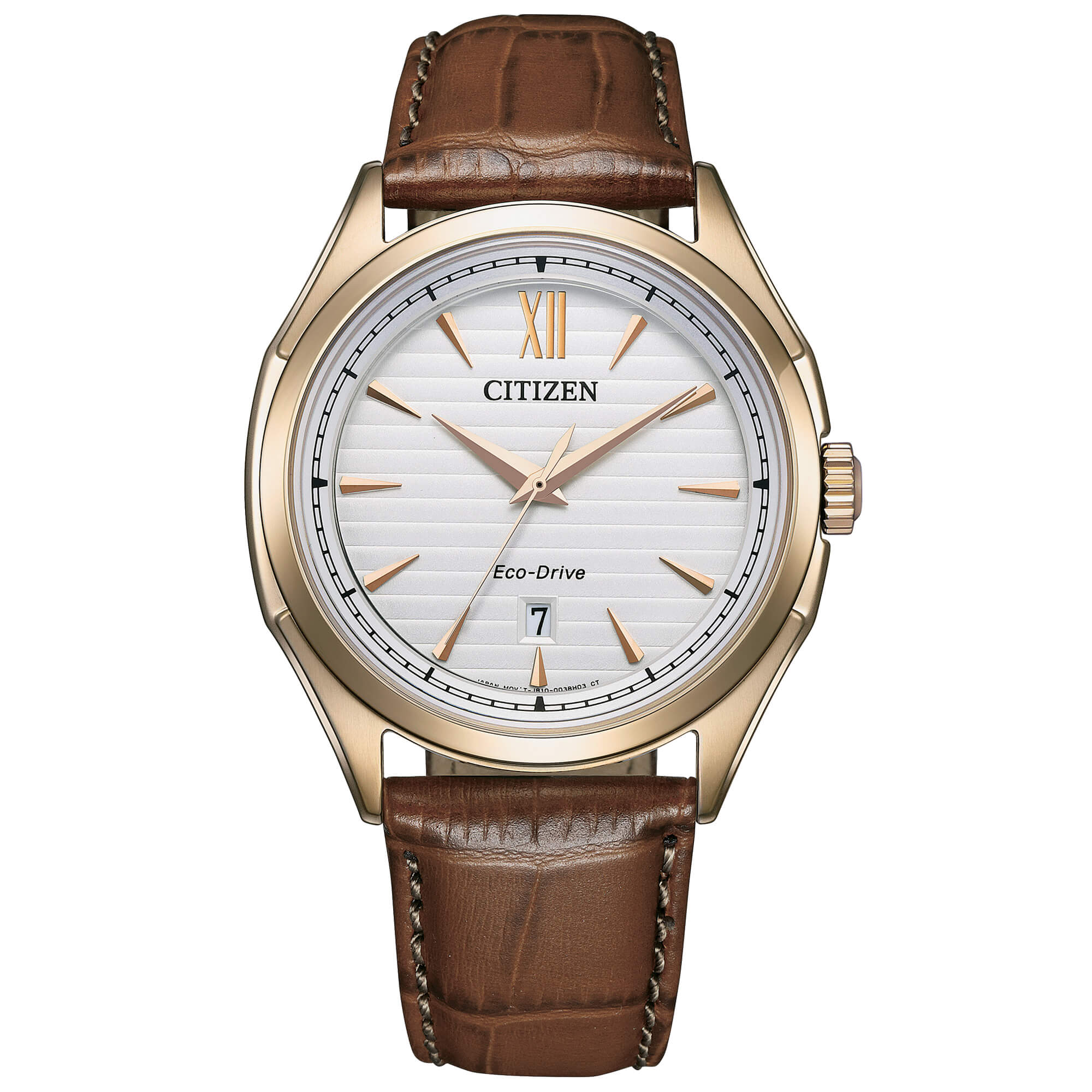 Orologio Uomo Citizen Eco Drive Data Solo Tempo Acciaio Dorato Pelle AW1753-10A