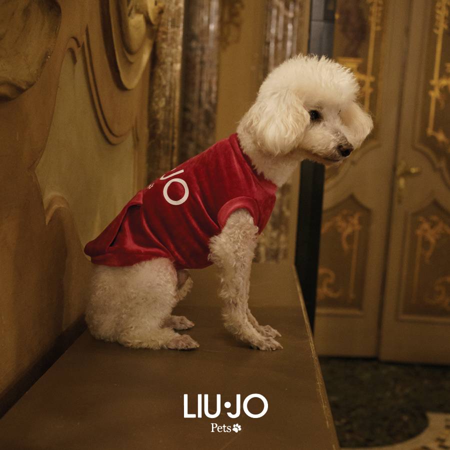 Collare Pets Liu Jo Acciaio Maglia Anelli Sfaccettati Lucidi LJP024S/M