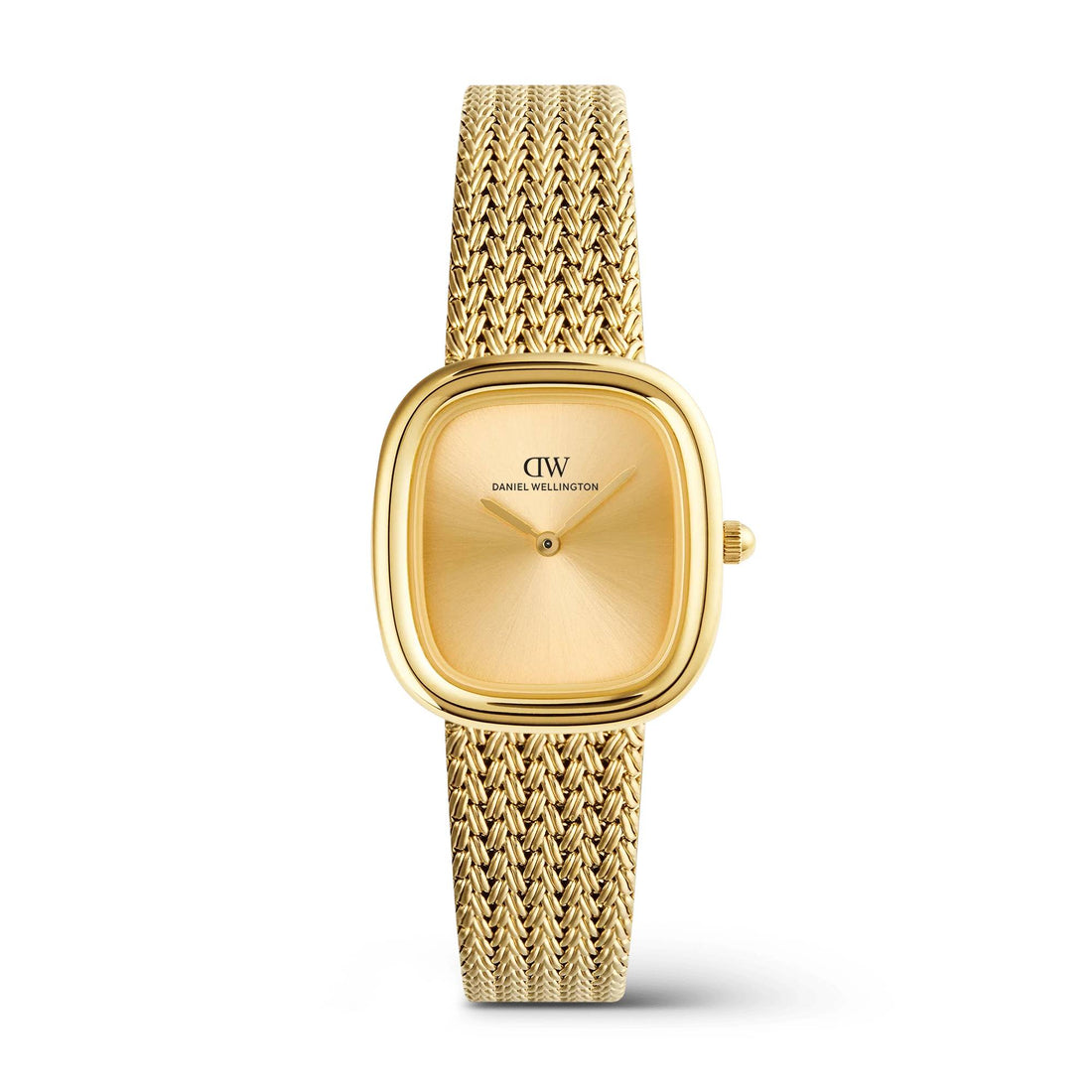 Orologio Donna Daniel Wellington Acciaio Dorato Margot Braided DW00100964