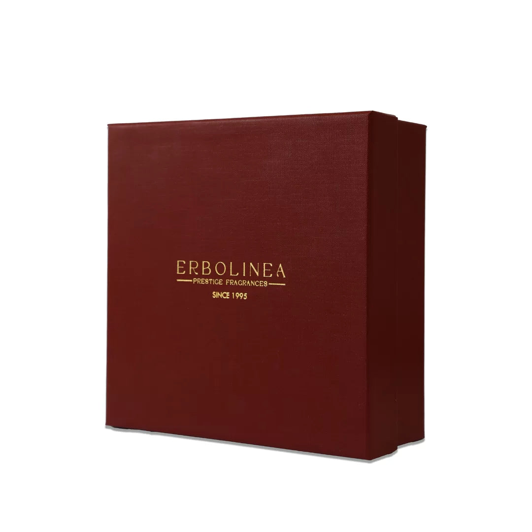 Set Diffusore Ambiente 250 ml Con Ricarica 100 ml  Resine Preziose Luxury Gift 4